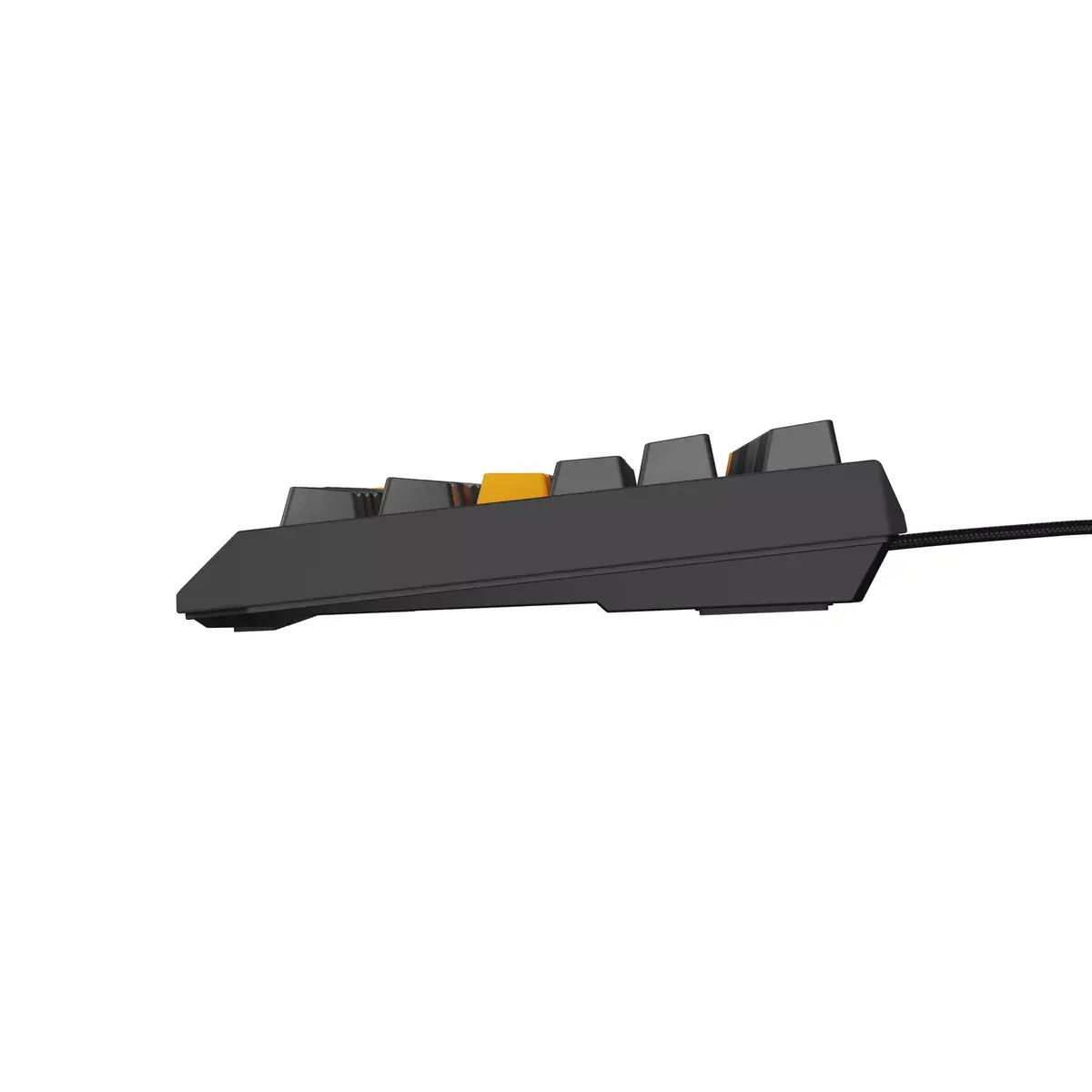 Клавиатура GENESIS Thor 230 TKL Photo 12