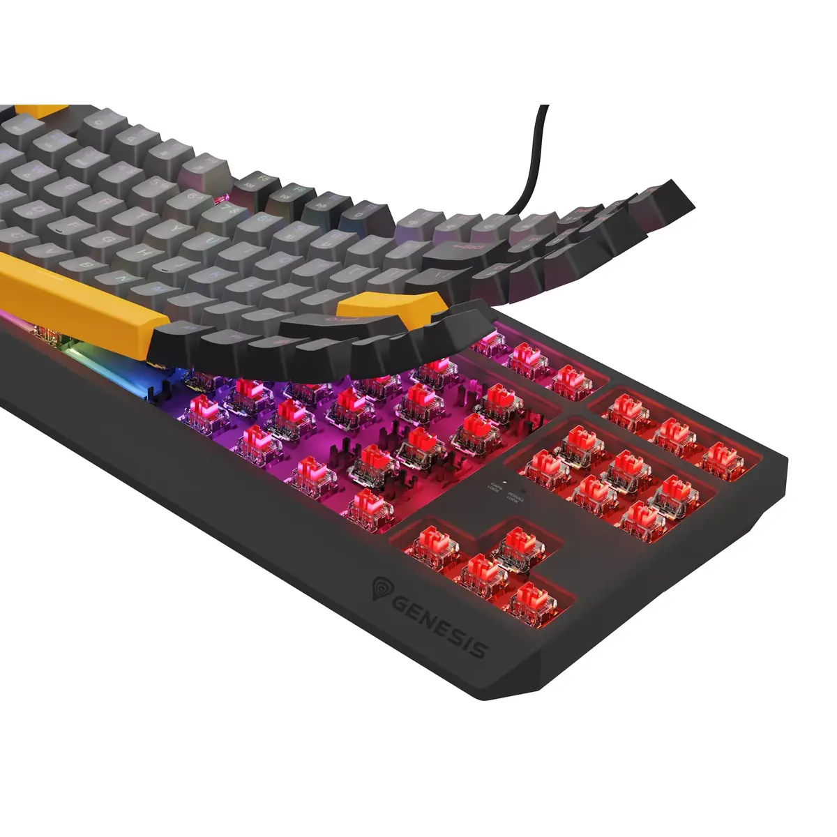Клавиатура GENESIS Thor 230 TKL Photo 15