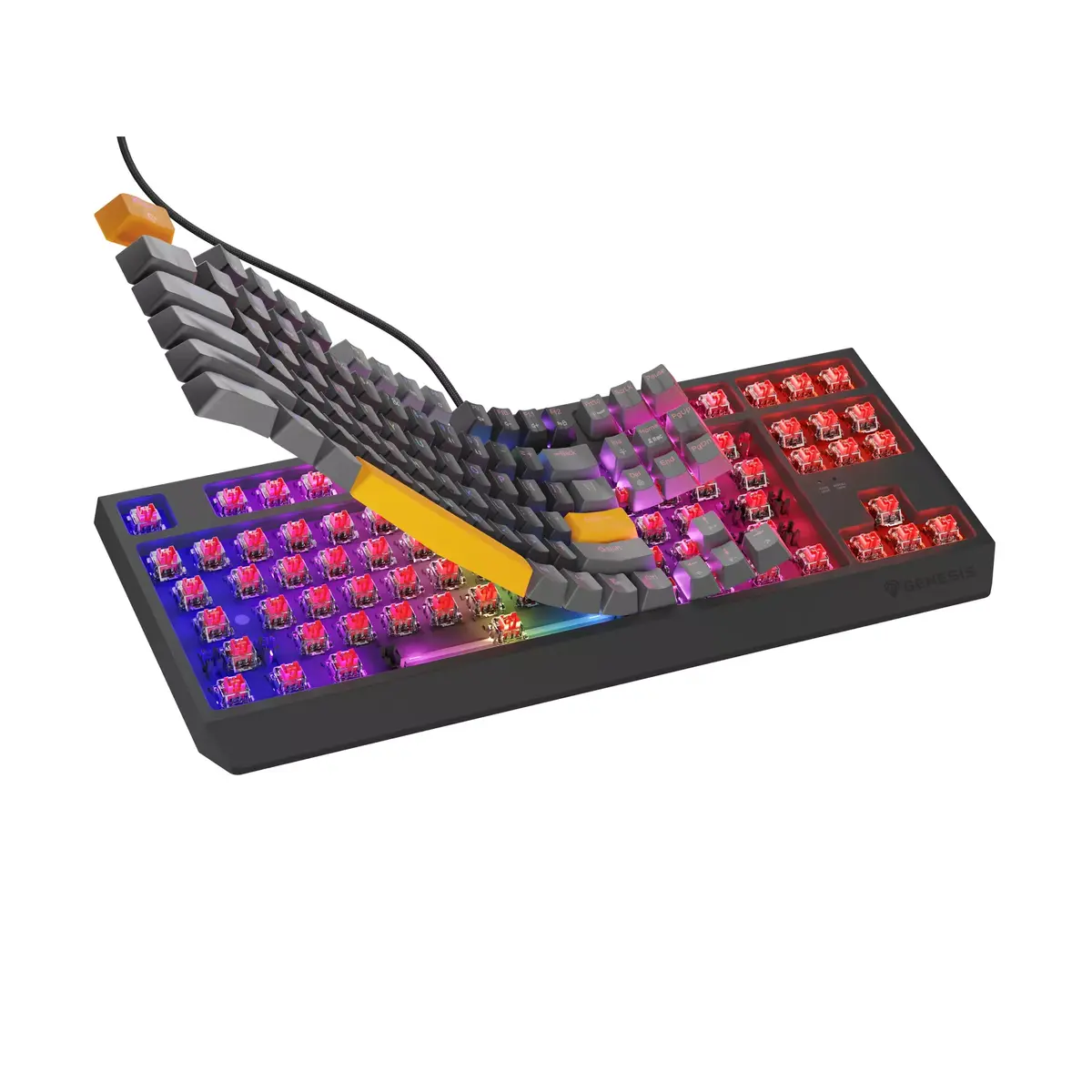 Клавиатура GENESIS Thor 230 TKL Photo 5