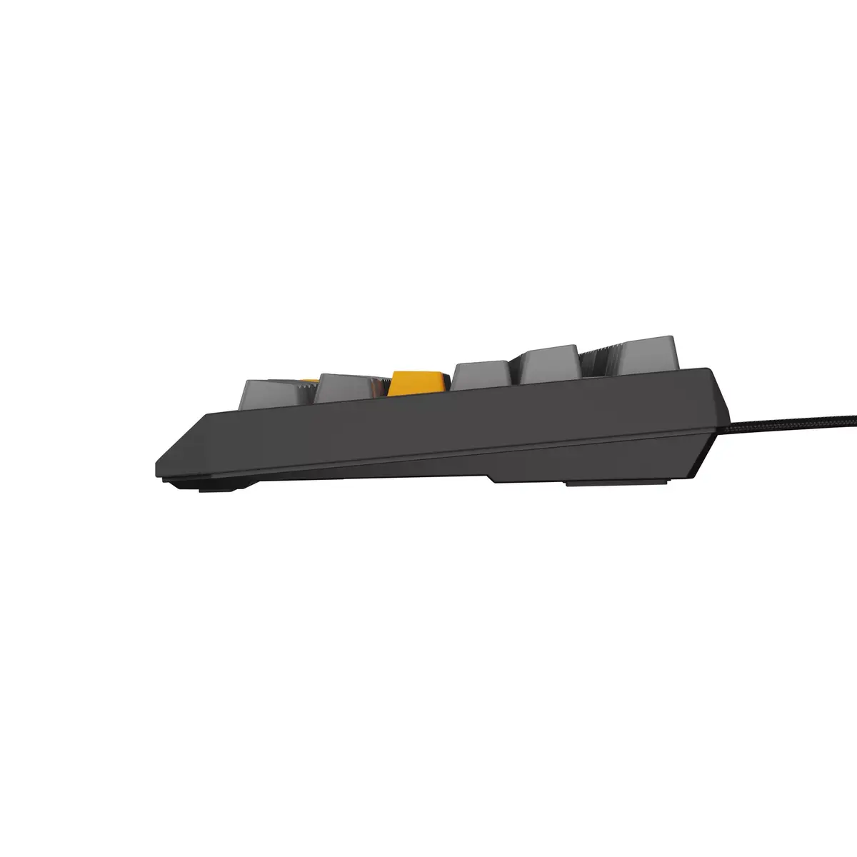 Клавиатура GENESIS Thor 230 TKL Photo 10