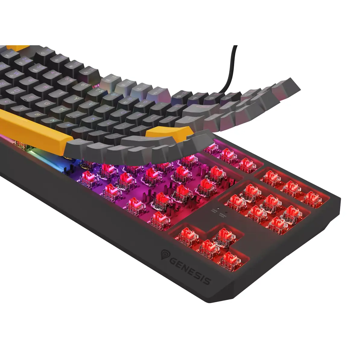 Клавиатура GENESIS Thor 230 TKL Photo 15