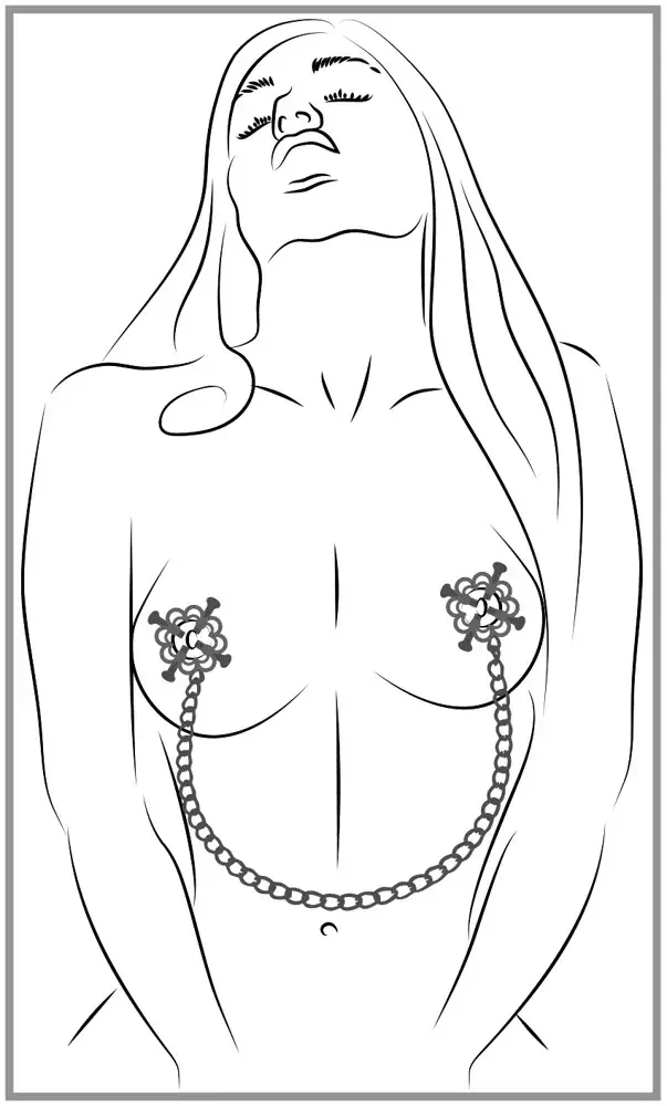 Nipple jewellery Bad Kitty 50036520000 clamps with chain Photo 8
