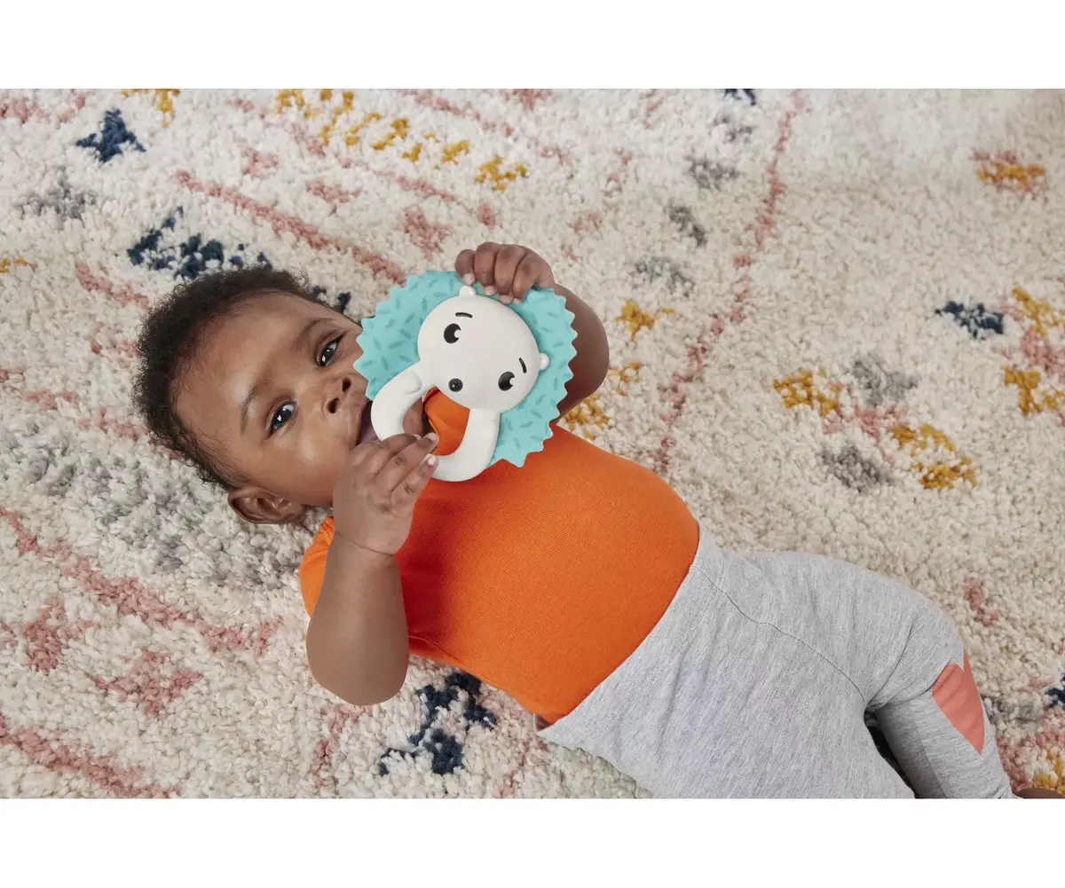 Fisher-Price Hold & Jingle Hedgehog mīkstā grabuļrota Photo 2