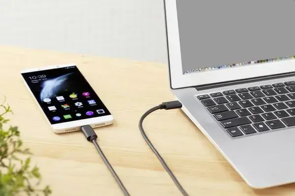 Кабель USB-C Renkforce RF-4381074 1.5м Photo 2