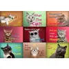 TREFL Funny cats mozaīka — 1500 gab. Photo 2