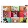 TREFL Funny cats mozaīka — 1500 gab. Photo 3