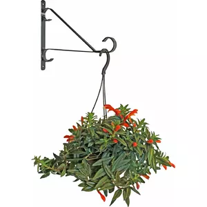 Wall plant pot holder BESK 25.4cm metal — wall-mounted planter bracket for round pots