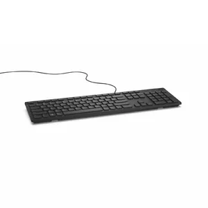 DELL KB216 клавиатура USB QWERTZ Чешский, Словацкий Черный