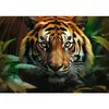 Puuzle 1000 gabalu TREFL Wild Tiger Photo 2
