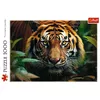 Puuzle 1000 gabalu TREFL Wild Tiger Photo 3