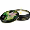 Masāžas eļļu komplekts Shunga EDO Organic Collection D-237878 Photo 6