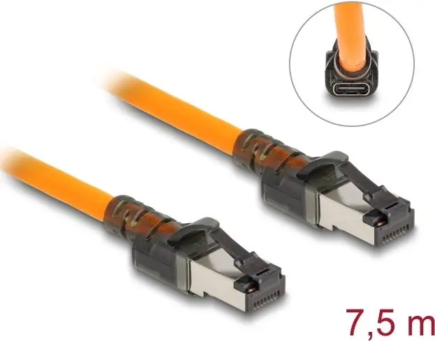 Tīkla kabelis DeLOCK RJ45 USB Type-C