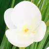Artificial decorative flower Springos HA7427 Photo 5
