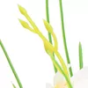 Artificial decorative flower Springos HA7427 Photo 6