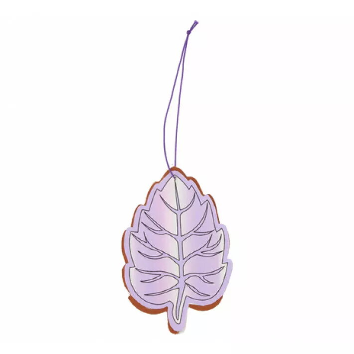 Car Air Fresheners