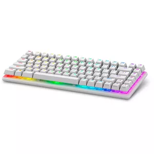 Wireless Gaming Keyboard Alienware Pro RGB Mechanical White 75% Layout