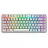 Dell Alienware Pro 75% Wireless Mechanical Keyboard Photo 2