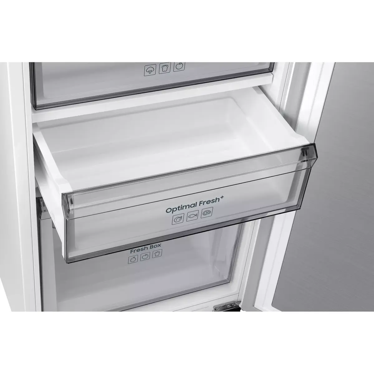 Samsung BRR29703EWW Freestanding Refrigerator Photo 6