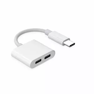 RoGer JH-032 USB-C на 2x USB-C Аудио адаптер + Зарядка