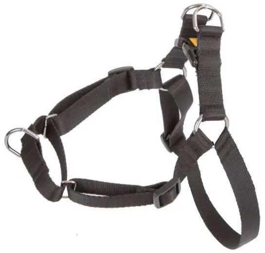 DINGO Easy Walk dog harness 42–64 cm Photo 2