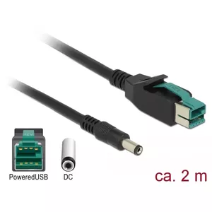Power Cable DeLOCK 85498 2m PoweredUSB Black