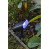 Lutec Ginbo Solar LED Outdoor Ground Light Photo 6