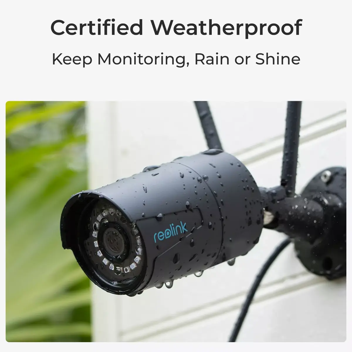 IP Security Camera Reolink W320-B 5MP Photo 7