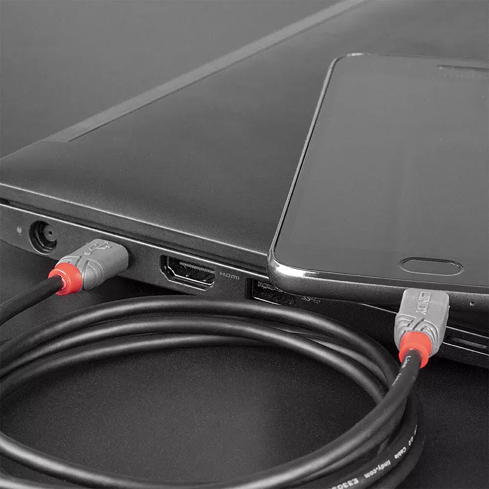 USB 2.0 Type C uz Micro-B kabelis 36892 Photo 3
