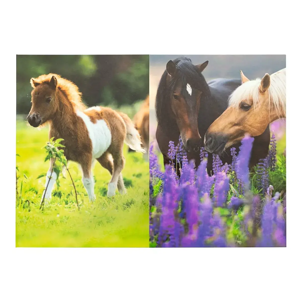 Atkritumu spainis Herma Horse Meadow 19741 Photo 3