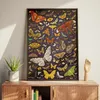 Пазл CzuCzu Puzzlove Moths 1000 деталей Photo 6