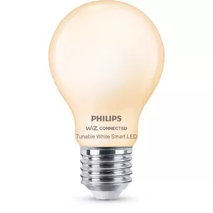 Philips Frosted Glass Bulb 7W (Eq.60W) A60 E27