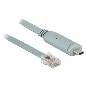 Sērijas kabelis DeLOCK 89893 USB 2.0 Type-C RJ45 Pelēks 1 m