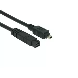 FireWire cable EXSYS EX-K6873 5 m 9-p 4-p Black