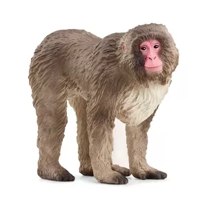 Фигура Schleich WILD LIFE Японская макака Бежевый Коричневый Розовый 14871