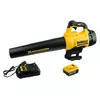 DeWalt DCM562P1-QW Photo 1