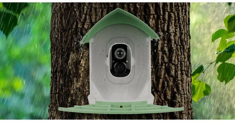 Surveillance Camera Redleaf RD001 RL4146 HD Standard Photo 11