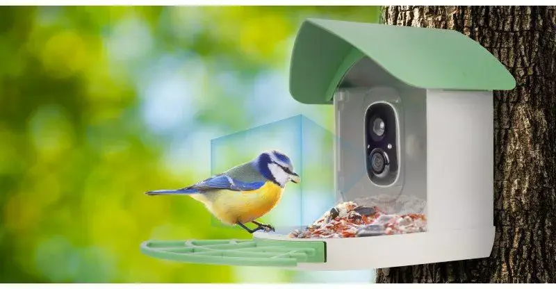 Surveillance Camera Redleaf RD001 RL4146 HD Standard Photo 12