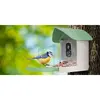 Surveillance Camera Redleaf RD001 RL4146 HD Standard Photo 12