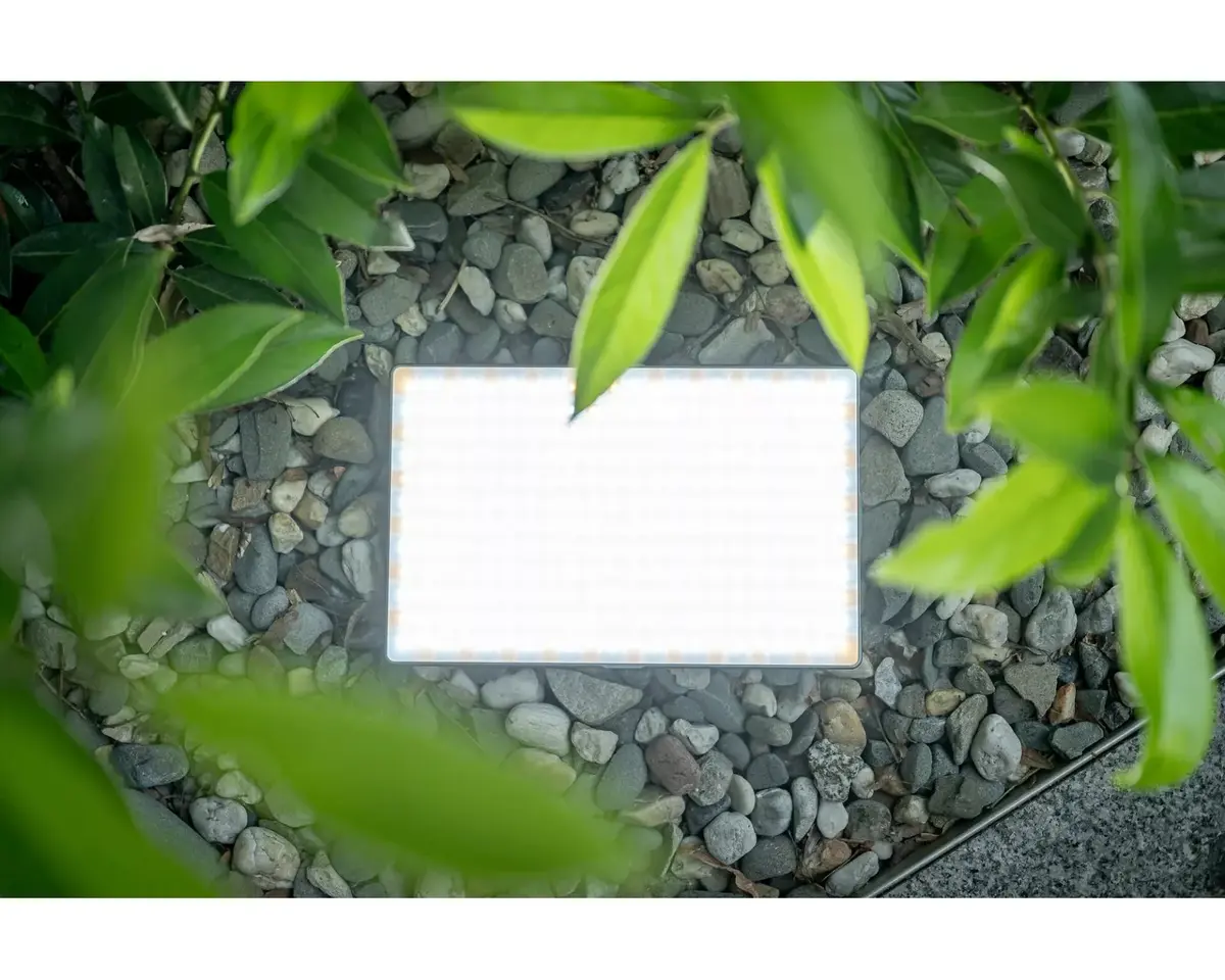 LED lamp Newell Rangha Max XL NL3608 Photo 9