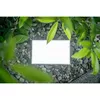 LED lamp Newell Rangha Max XL NL3608 Photo 9