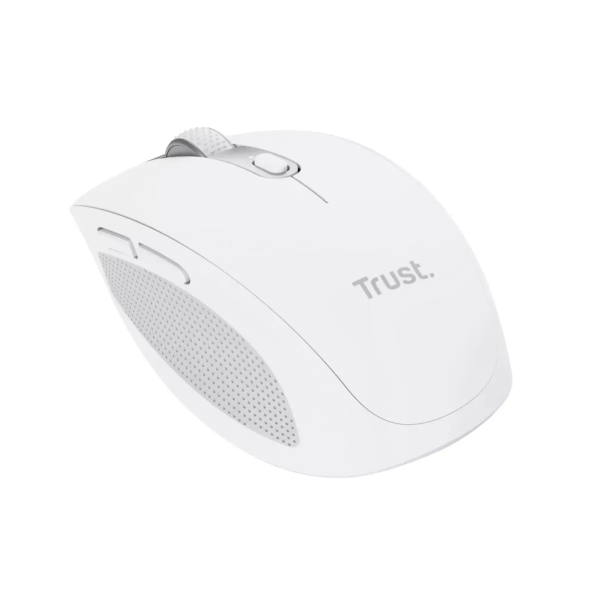 Mouse Trust Ozaa Office Photo 2