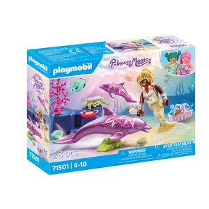 Playmobil 71501 spēļu komplekts