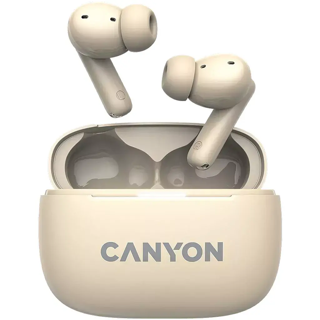 True Wireless Stereo Headset Canyon CNS-TWS10BG Photo 2