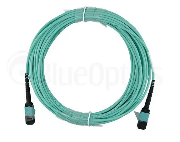 Оптоволоконный кабель BlueOptics QSRCABLE30M-BO Photo 5
