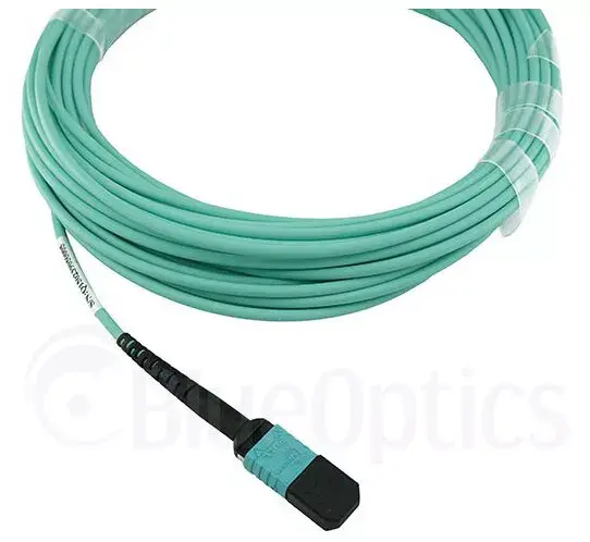 Network Cable BlueOptics AT-MTP12-30-BO Photo 2