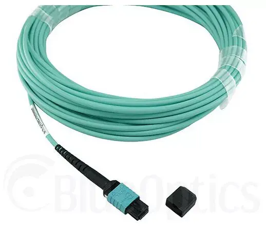 Network Cable BlueOptics AT-MTP12-30-BO Photo 3