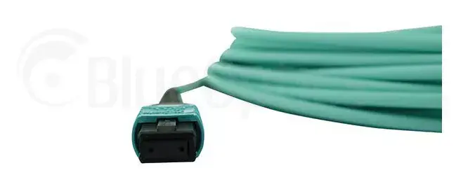 Network Cable BlueOptics AT-MTP12-30-BO Photo 4