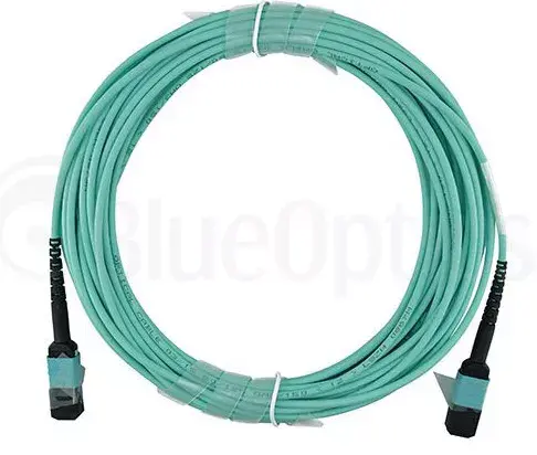 Network Cable BlueOptics AT-MTP12-30-BO Photo 5