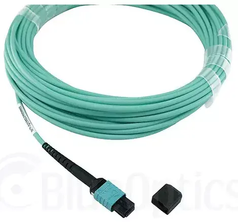 Tīkla kabelis BlueOptics 90Y3521-IB-BO Photo 3