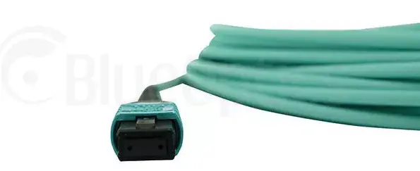 Сетевой кабель BlueOptics 00VX005-IB-BO Photo 4